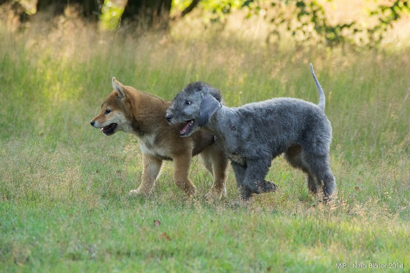 2014-07-17 Cherry & Friends-8128.jpg